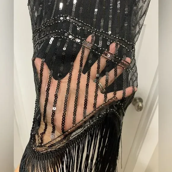 Vintage Style "Great Gatsby" Sequined Fringed Flapper. Great for Halloween - Picture 10 of 16